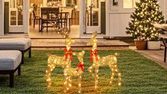 "Lighted Christmas Decorations: Adding Warmth and Joy to Your Home"