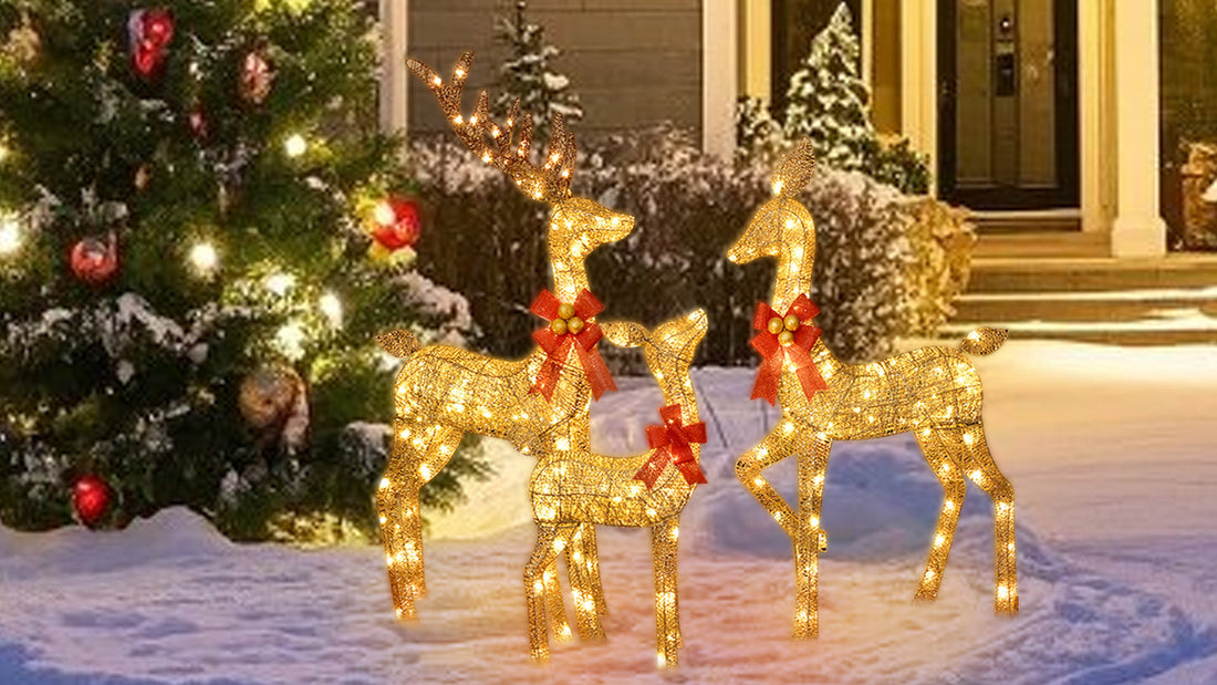 Guide to Outdoor Christmas Decorating with Lights : Light Up Your Holiday Nights