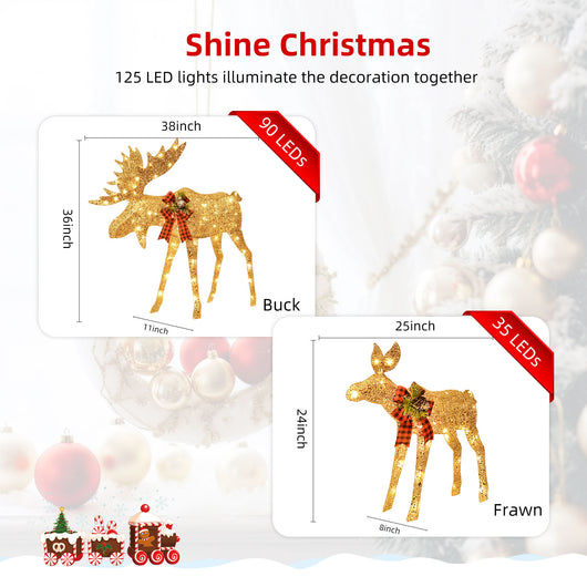 outdoor christmas decorations
christmas decorations outside
christmas outdoor decorations
christmas decorations outdoor
outside christmas decorations
christmas yard decorations outdoor
outdoor christmas decor
reindeer outdoor decorations
christmas outdoor decor
christmas yard decorations
christmas decorations outdoor yard
outdoor holiday decorations
christmas decor outdoor
christmas lawn decorations
christmas outdoor decorations yard
deer christmas decor
christmas deers for outdoors
outdoor christmas decor