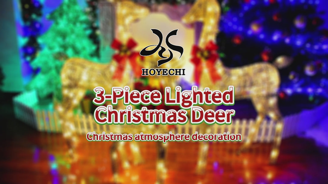 Video of HOYECHI 3-piece lighted Christmas reindeer yard set showing outdoor installation and night lighting effects