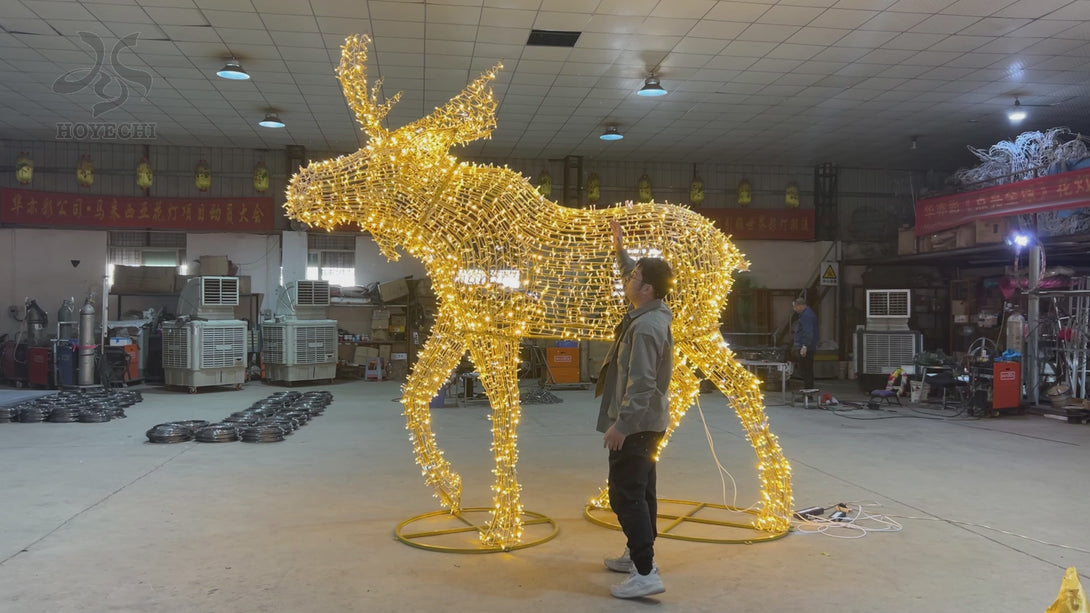 Video thumbnail of HOYECHI luminous Christmas elk sculpture showing LED lighting test and outdoor holiday decoration size in factory