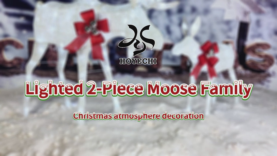 Lighted Christmas reindeer decoration video for outdoor yard display
